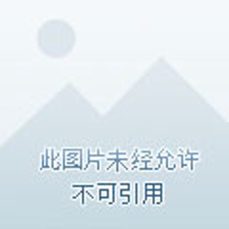软件开发工程师的角色是什么？他们如何在当今的技术世界中导航并取得成功？让我们通过这次访谈来揭开谜底。